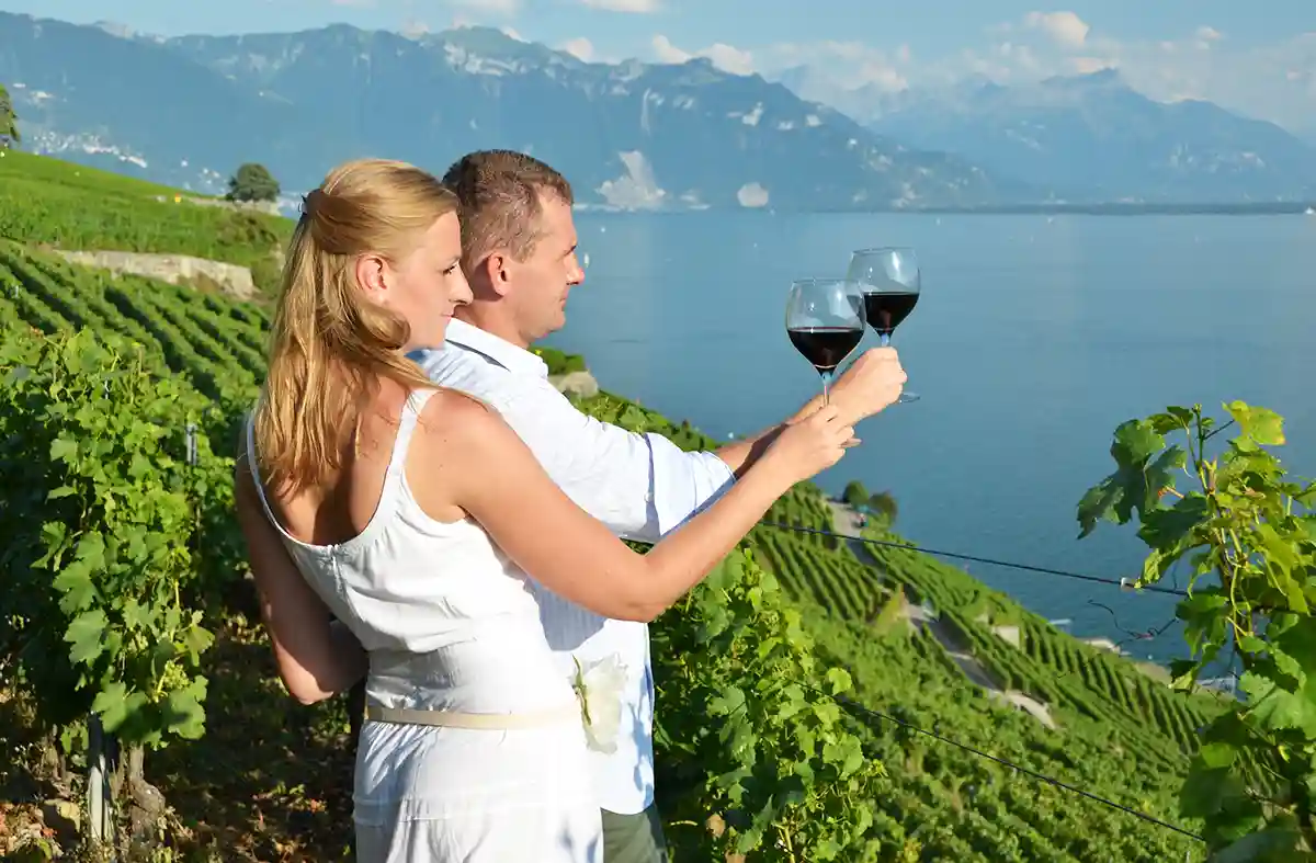 Swiss Wine Tasting Among Lavaux Vineyards